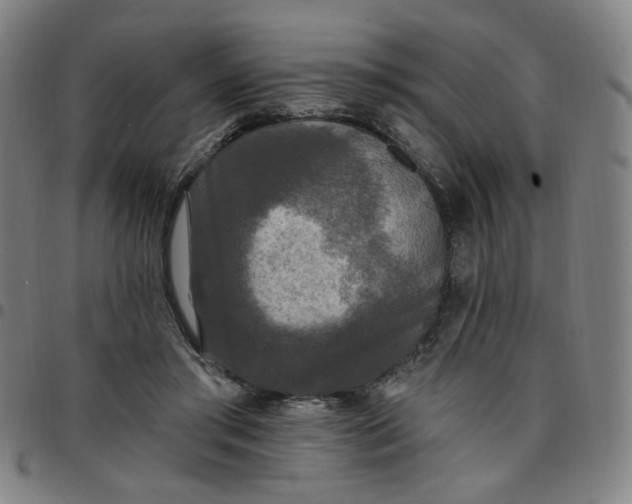 X0000097510405200803071829