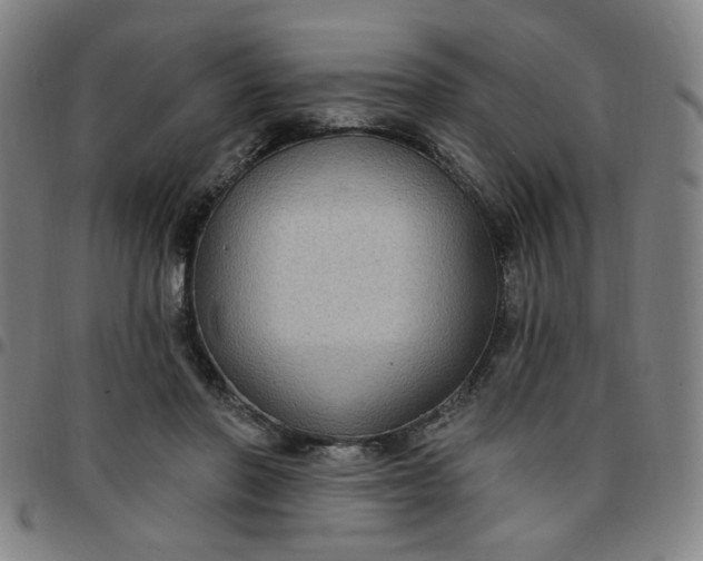 X0000097510406200803071829