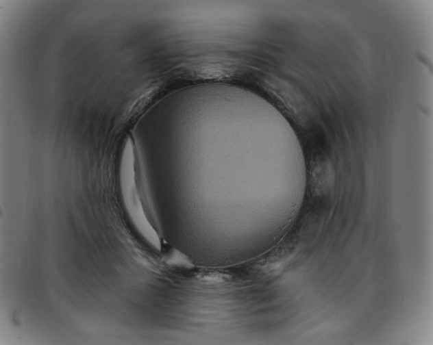 X0000097510407200803071829