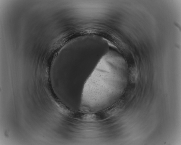 X0000097510410200803071829