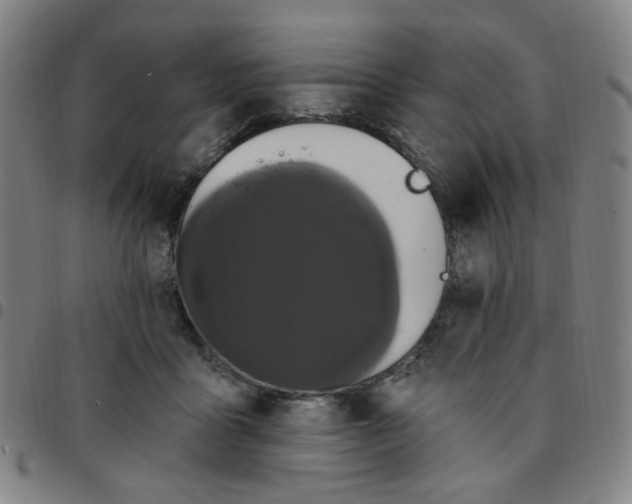 X0000097510411200803071829