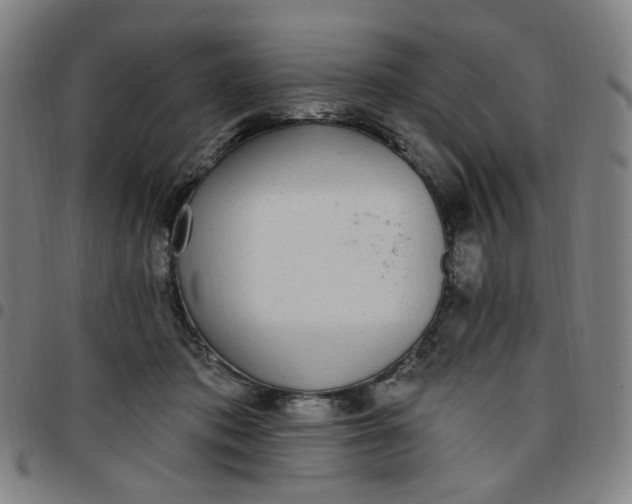 X0000097510413200803071829