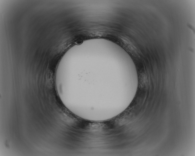 X0000097510414200803071829