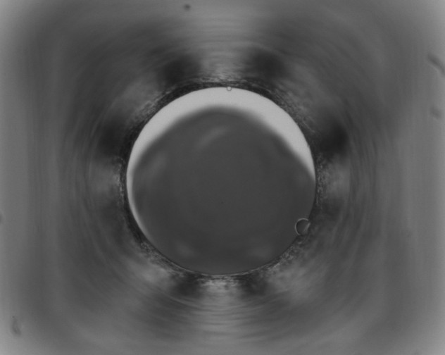 X0000097510415200803071829