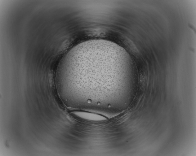 X0000097510416200803071829