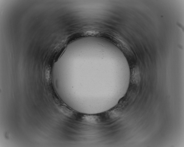 X0000097510417200803071829