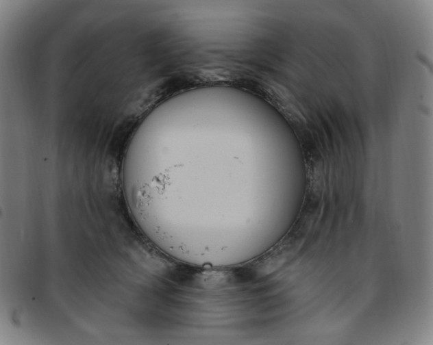 X0000097510418200803071829