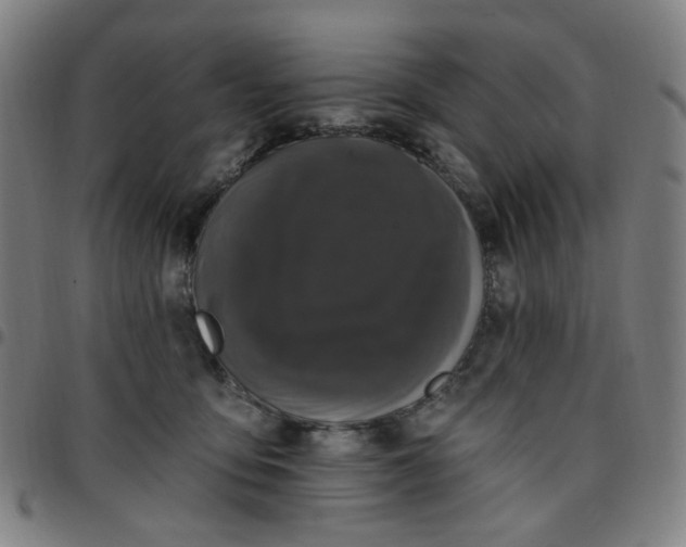 X0000097510419200803071829