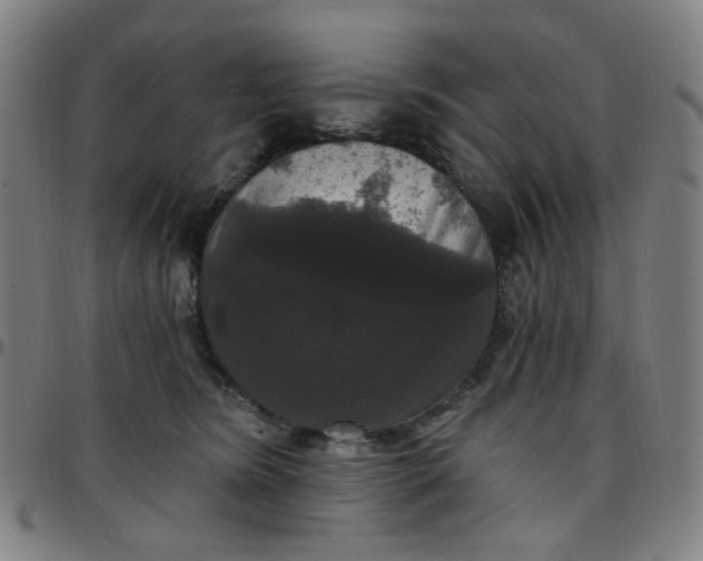 X0000097510420200803071829