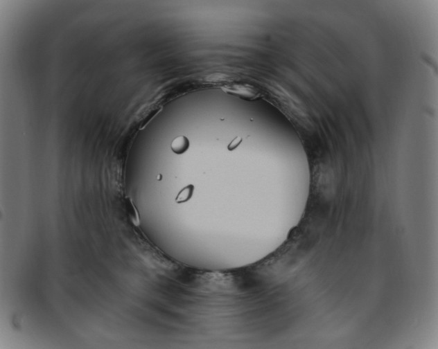 X0000097510421200803071829