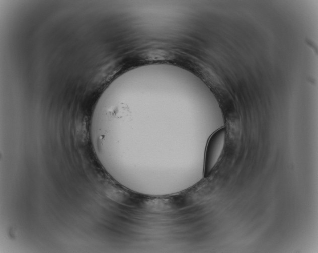 X0000097510422200803071829