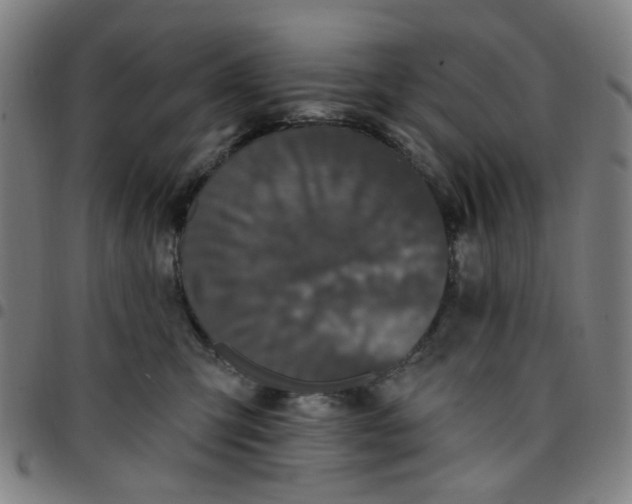 X0000097510423200803071829