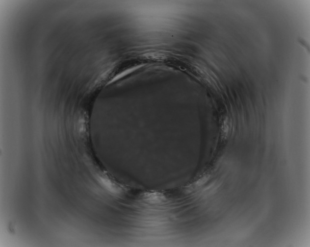 X0000097510424200803071829