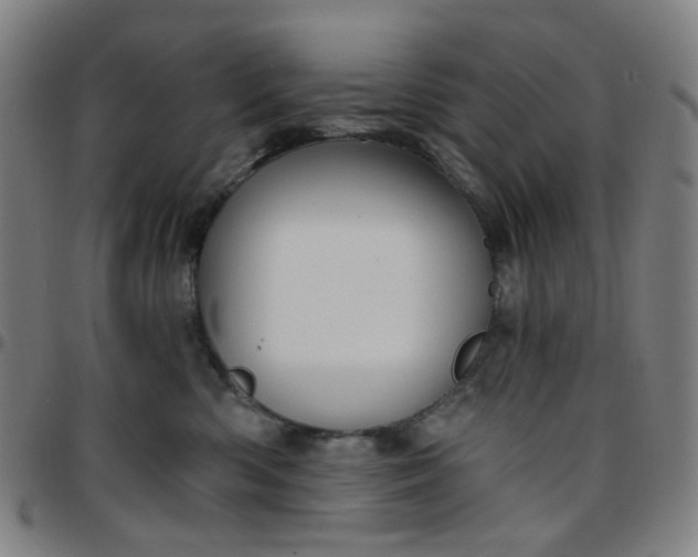 X0000097510426200803071829