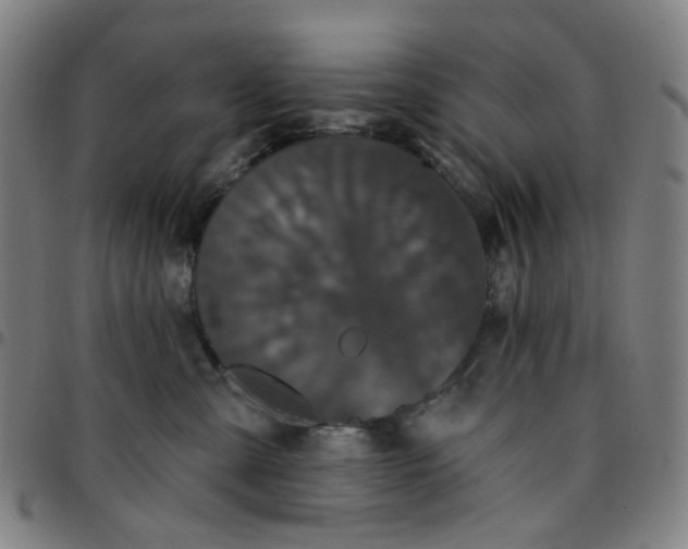 X0000097510427200803071829