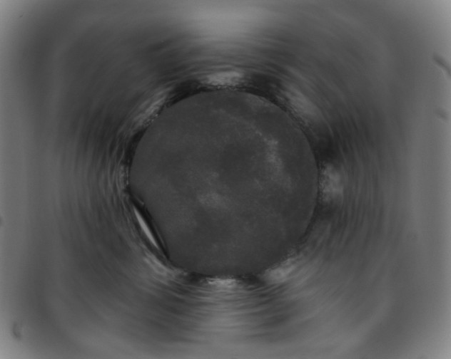 X0000097510428200803071829