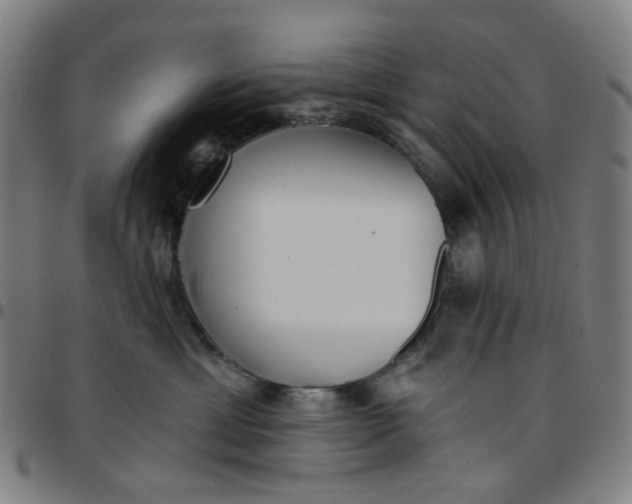 X0000097510429200803071829