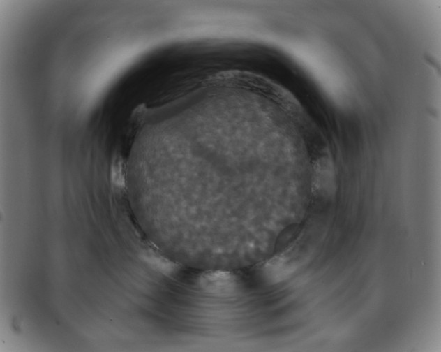 X0000097510431200803071829