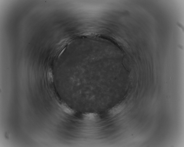 X0000097510432200803071829