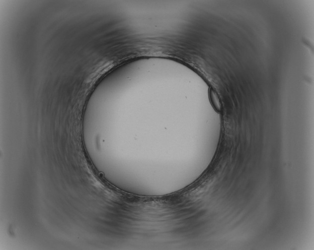 X0000097510433200803071828