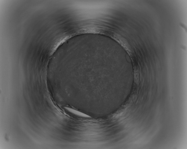 X0000097510434200803071828