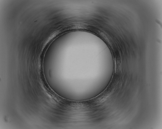 X0000097510435200803071828