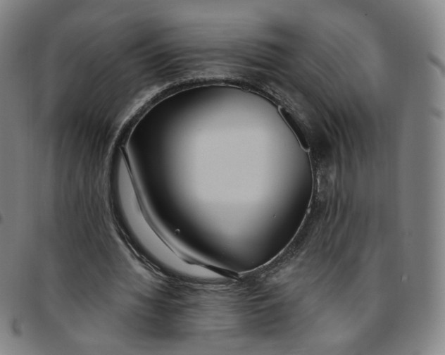 X0000097510436200803071828