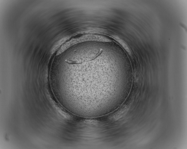 X0000097510437200803071828