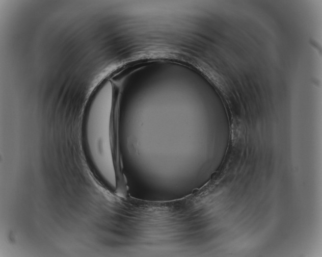 X0000097510438200803071828