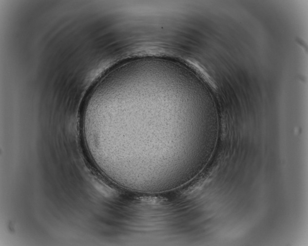 X0000097510439200803071828