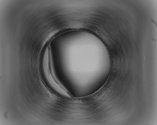 X0000097510440200803071828