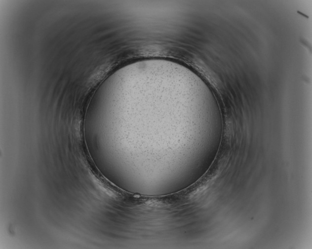 X0000097510441200803071828