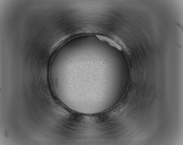 X0000097510442200803071828