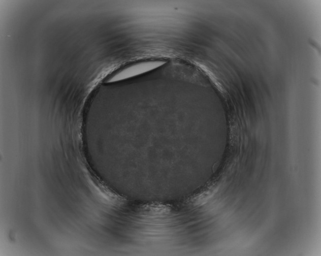 X0000097510443200803071828