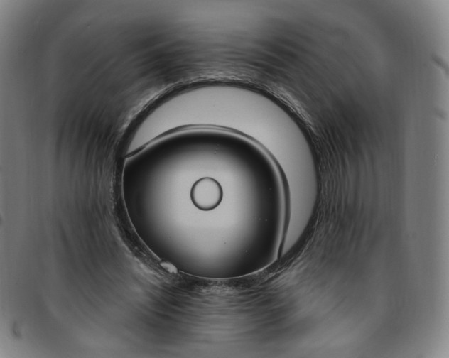 X0000097510444200803071828