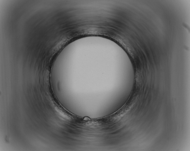 X0000097510445200803071828