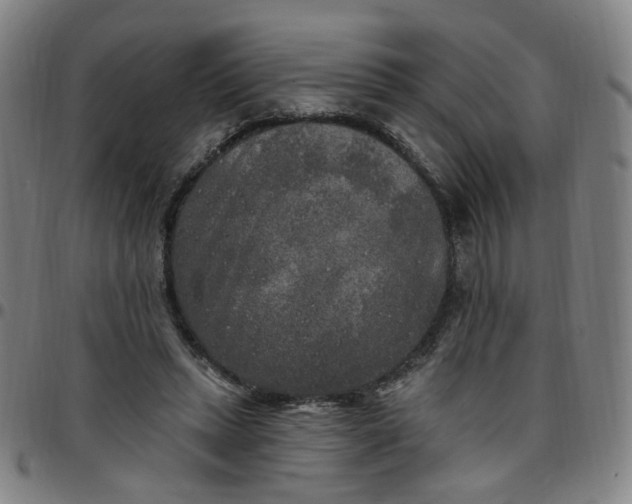 X0000097510447200803071828