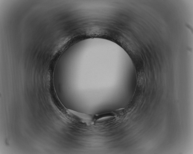 X0000097510448200803071828