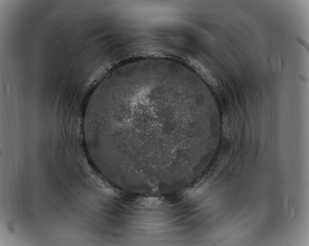 X0000097510449200803071828