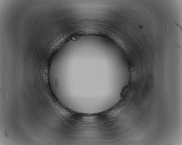 X0000097510450200803071828