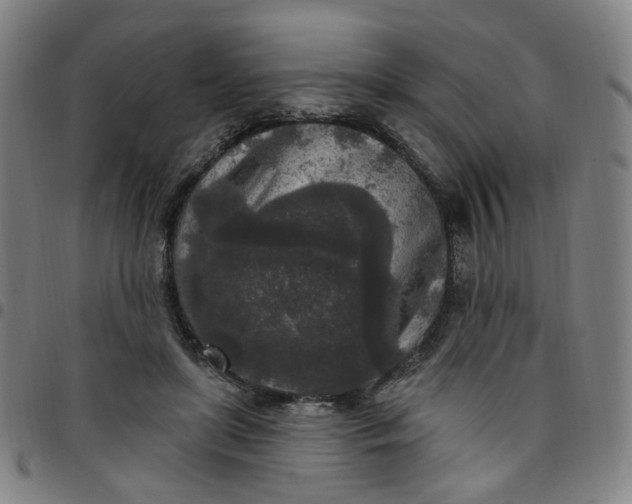 X0000097510451200803071828