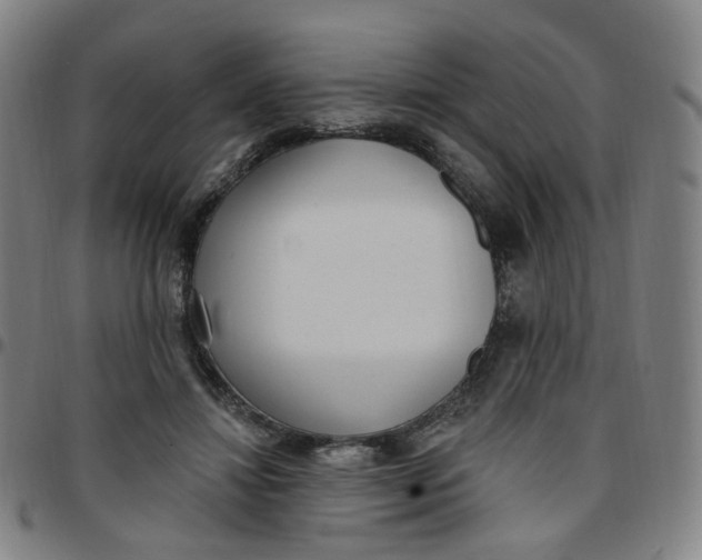 X0000097510452200803071828