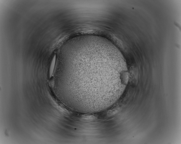 X0000097510454200803071828