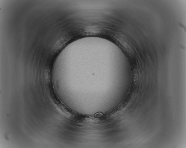 X0000097510455200803071828