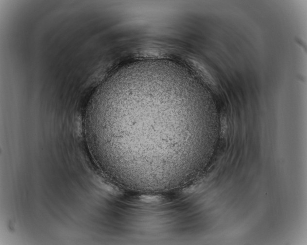 X0000097510457200803071828