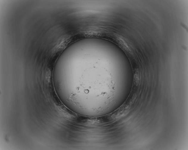 X0000097510458200803071828