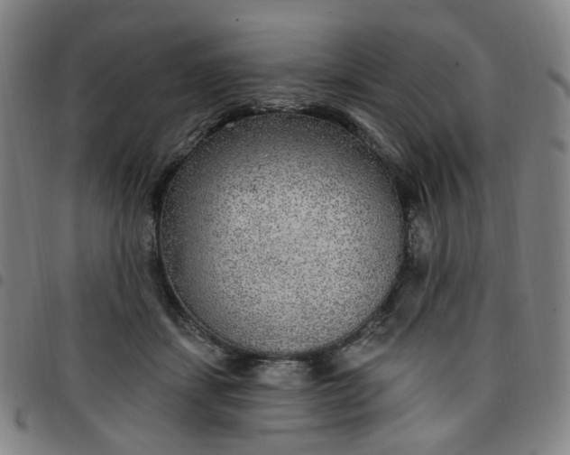 X0000097510459200803071828