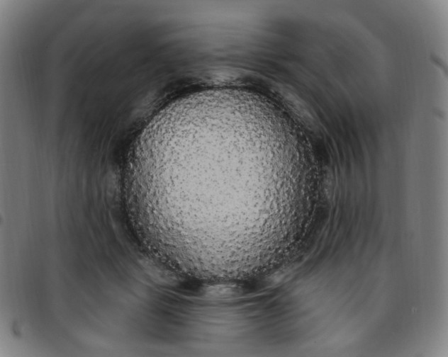 X0000097510461200803071828