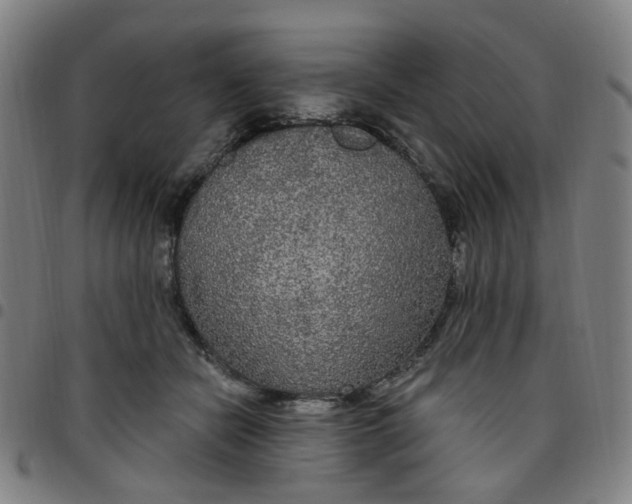 X0000097510462200803071828