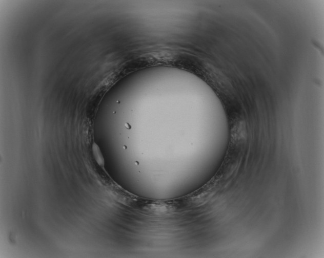 X0000097510464200803071828